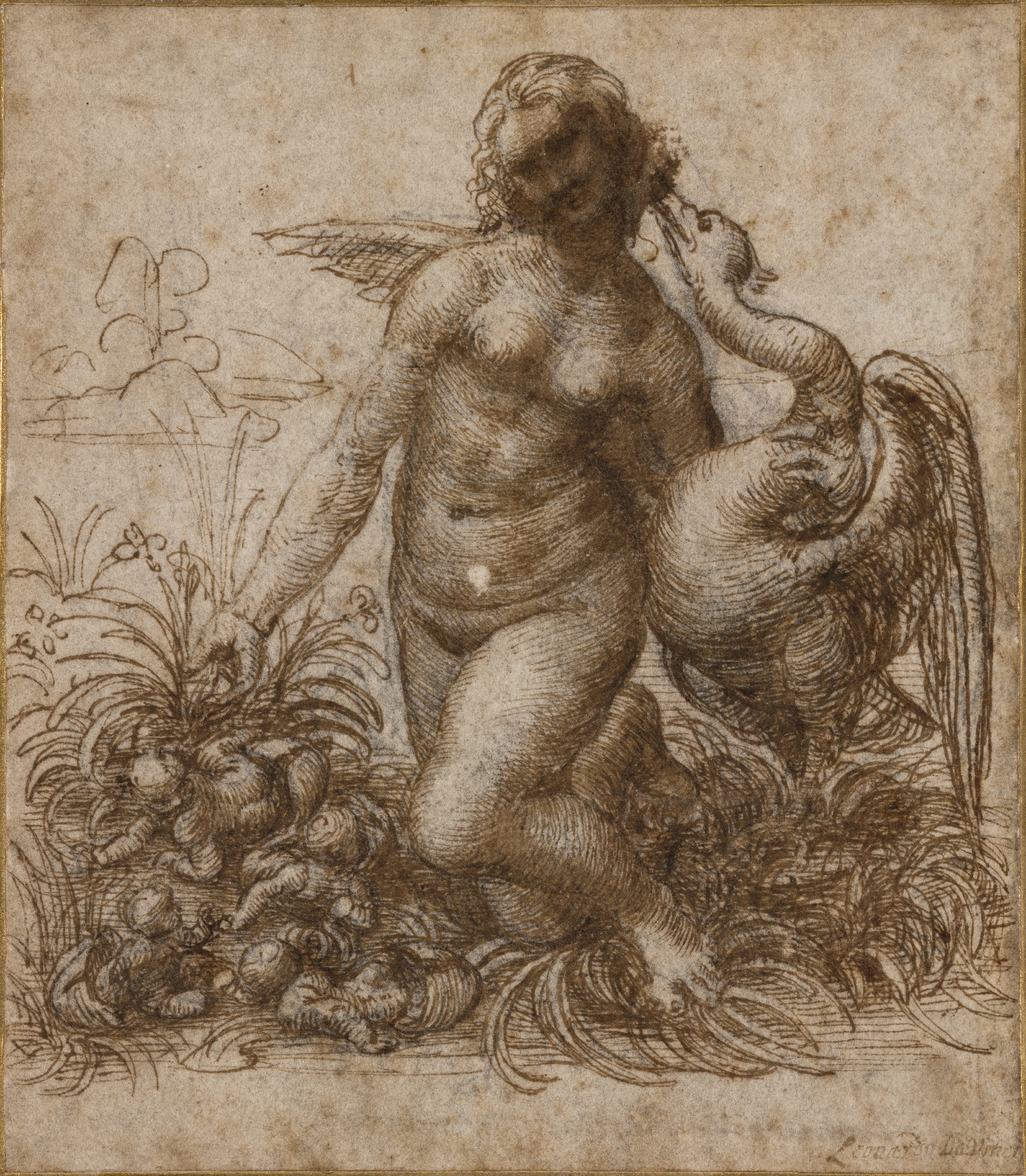 Leda and the Swan